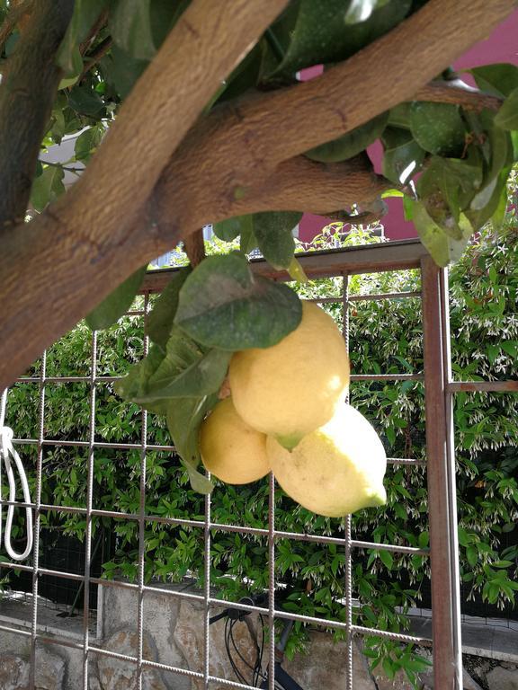 柠檬花园住宿加早餐旅馆 阿齐·卡斯特罗 外观 照片